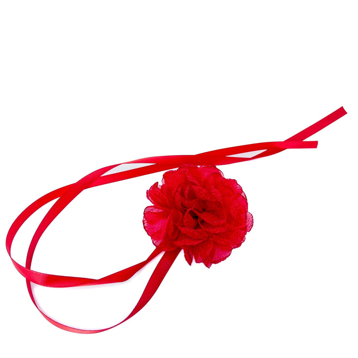 Red flower with a red ribbon on a white background
