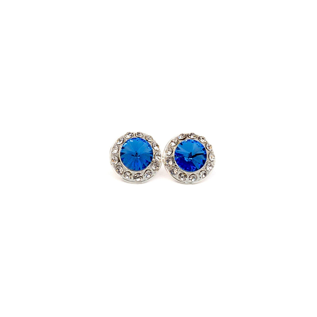 Pair of earrings with blue gemstones on a white background