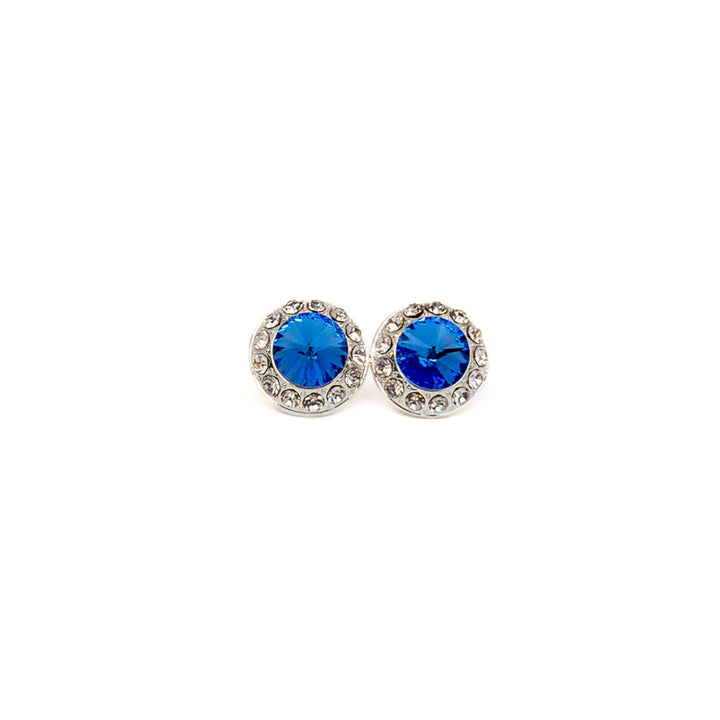 Pair of earrings with blue gemstones on a white background