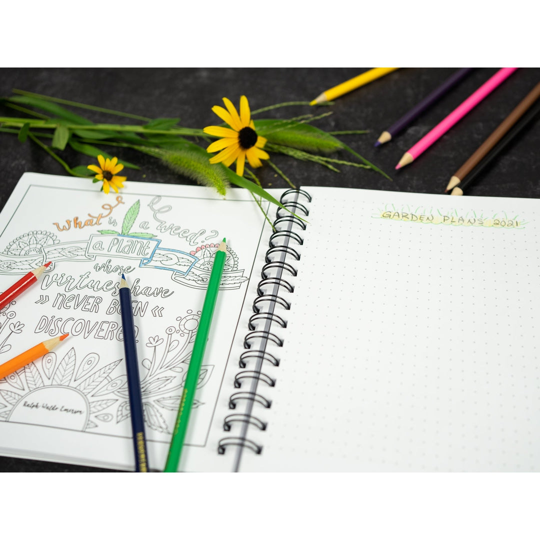 Encouragements: A Meditative Recovery Coloring Journal