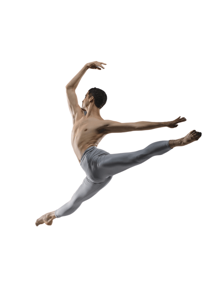 Pietro Men's Microfiber Footless Tights